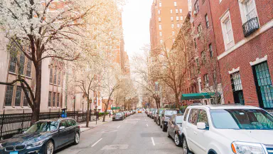 Cars on a car Hauler