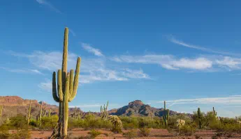 Arizona