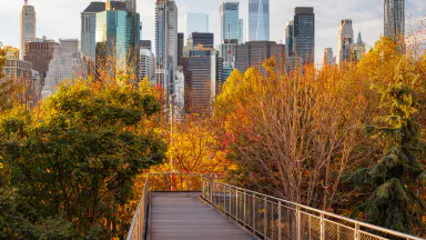 Cars on a car Hauler